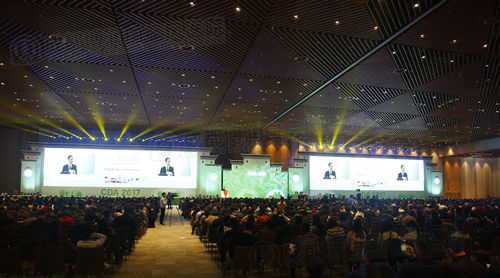 年会现场,隆重开幕