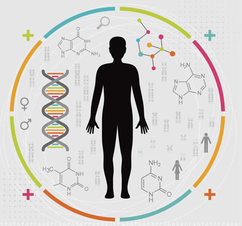 高度精准、深度治疗