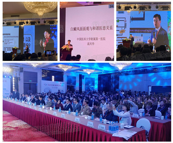 会议现场,众专家分享白癜风研究成果